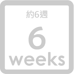 6 weeks